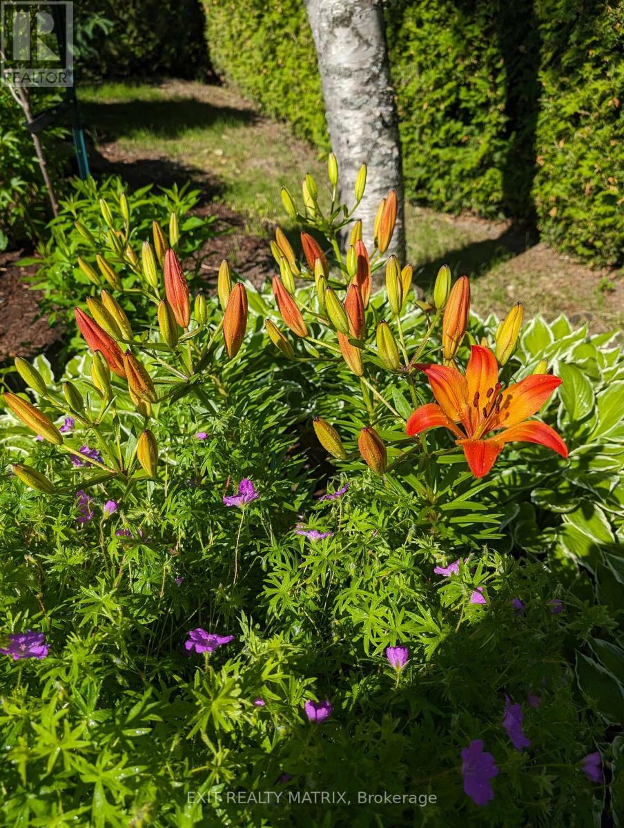 636 Front Road, Champlain, Ontario K0B 1K0 - Photo 34 - X12798014