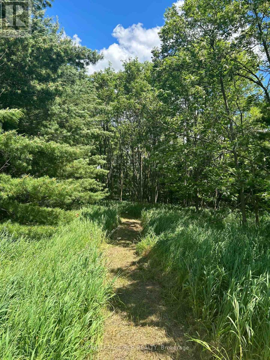 Lot 29 5th Line E, Mulmur, Ontario  L9V 0J8 - Photo 10 - X12989784