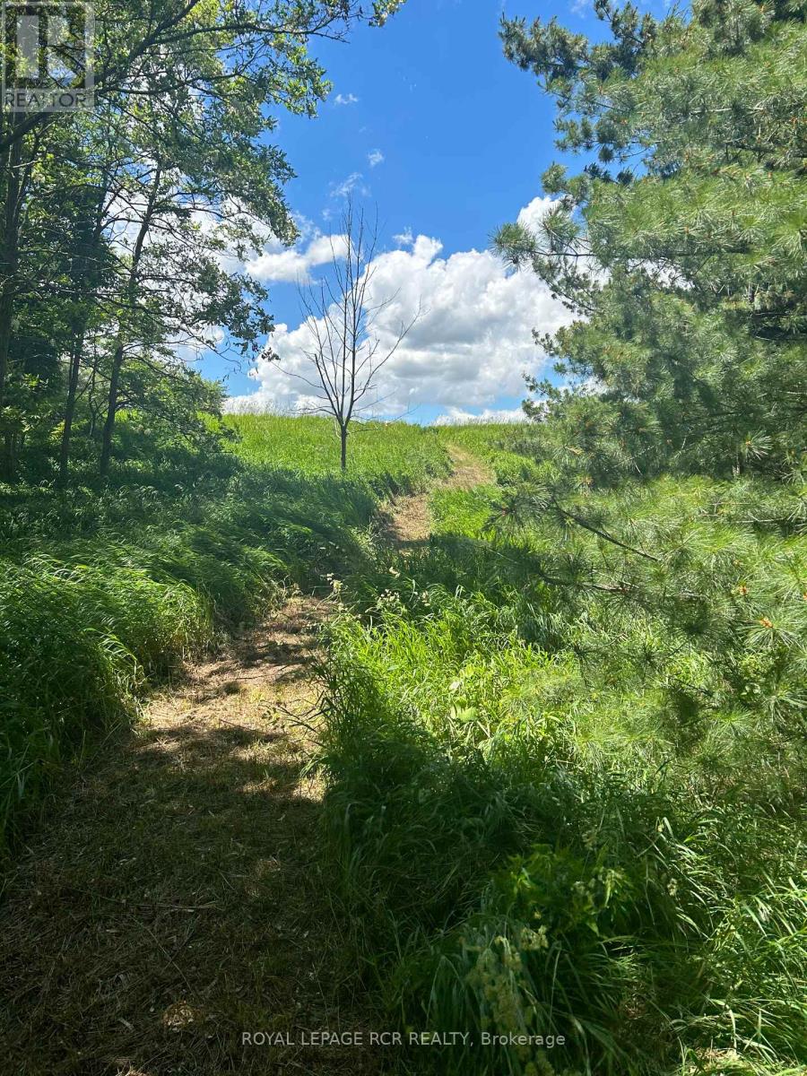 Lot 29 5th Line E, Mulmur, Ontario  L9V 0J8 - Photo 11 - X12989784