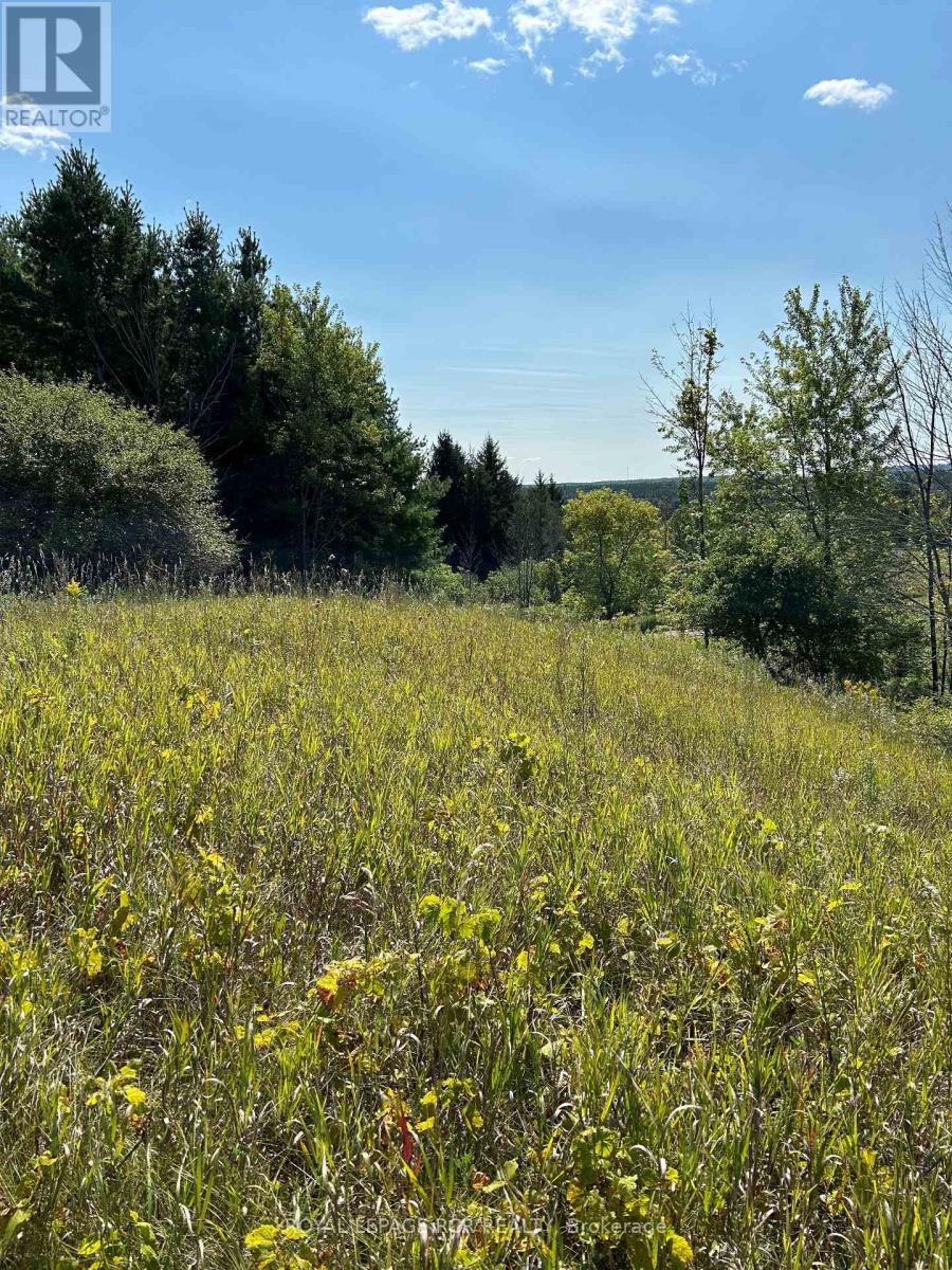 Lot 29 5th Line E, Mulmur, Ontario  L9V 0J8 - Photo 12 - X12989784