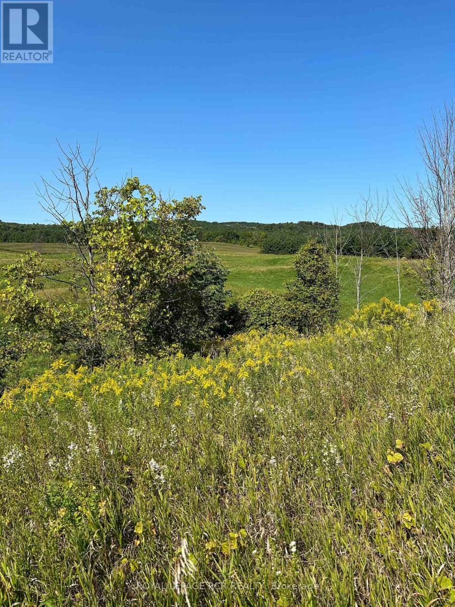 Lot 29 5th Line E, Mulmur, Ontario  L9V 0J8 - Photo 13 - X12989784