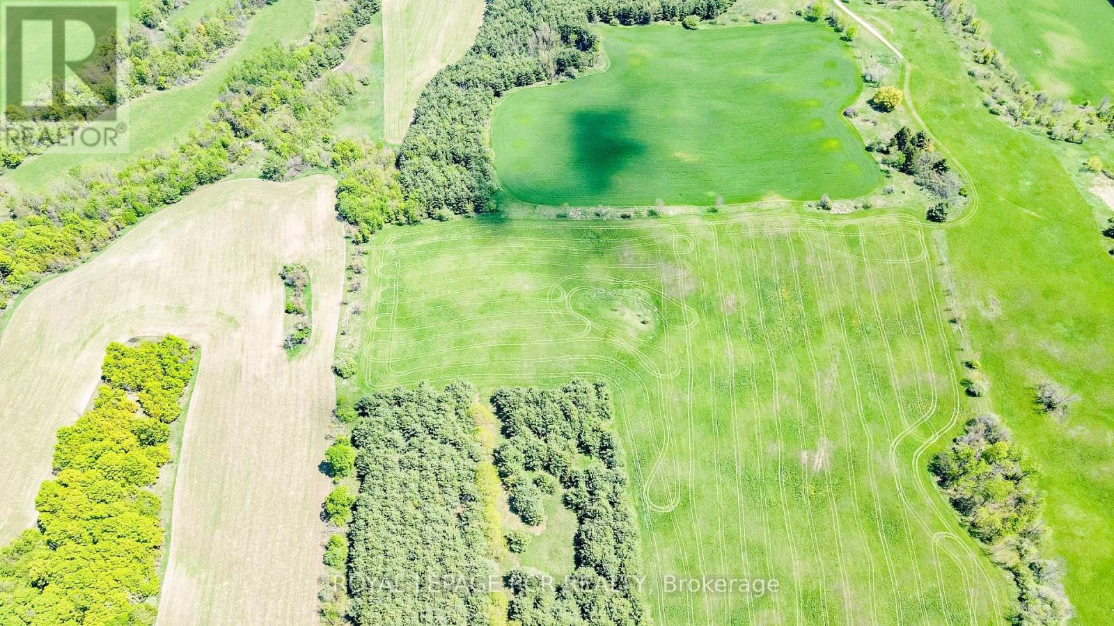 Lot 29 5th Line E, Mulmur, Ontario  L9V 0J8 - Photo 6 - X12989784