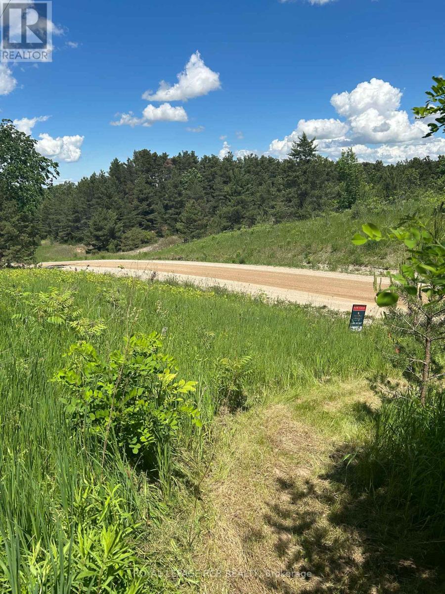 Lot 29 5th Line E, Mulmur, Ontario  L9V 0J8 - Photo 9 - X12989784