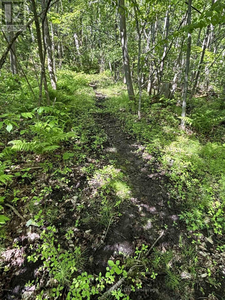 141 Shanagarry Drive, Selwyn, Ontario  K0L 1T0 - Photo 43 - X12989850