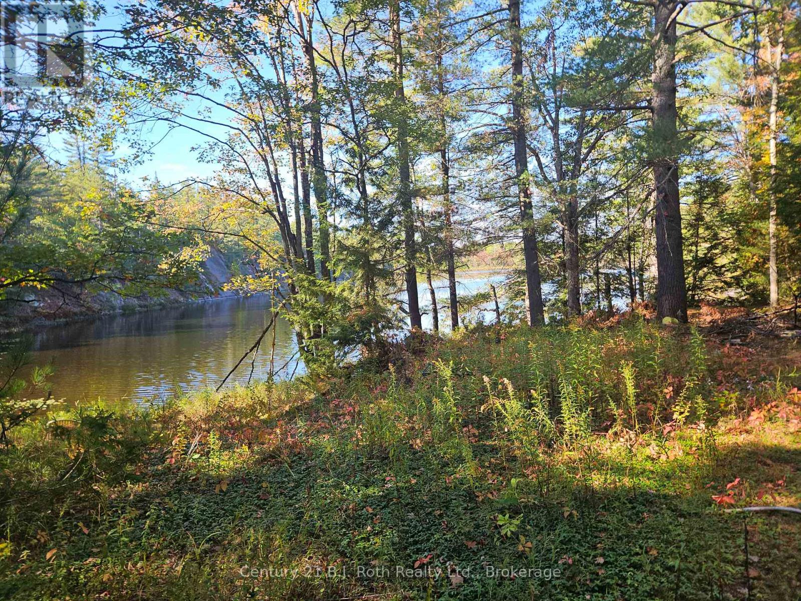 1112 Sam Cook Road, Gravenhurst, Ontario  P1P 1R3 - Photo 5 - X12672910