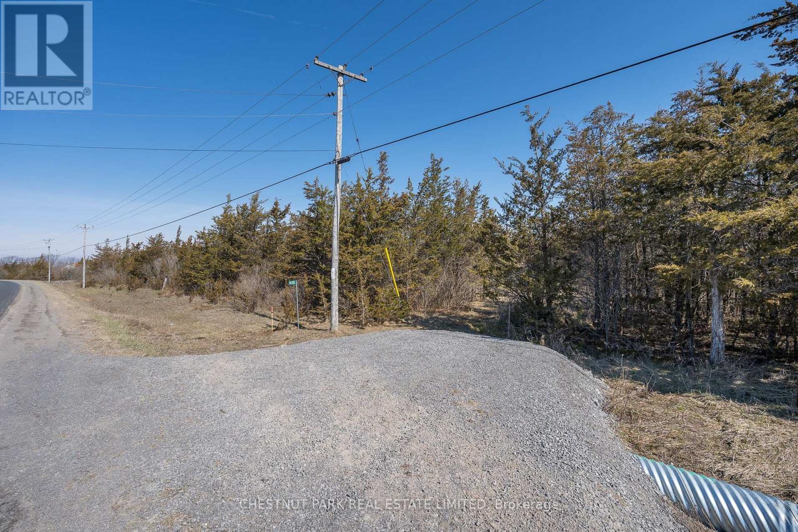 695 County Road 7, Prince Edward County, Ontario  K0K 2T0 - Photo 10 - X12989988