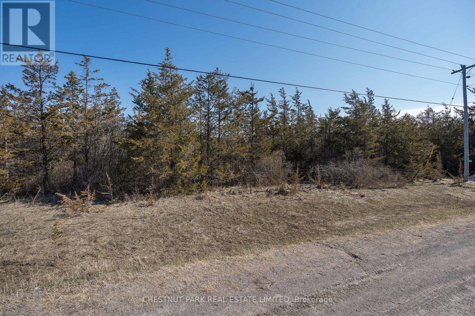 695 County Road 7, Prince Edward County, Ontario  K0K 2T0 - Photo 12 - X12989988