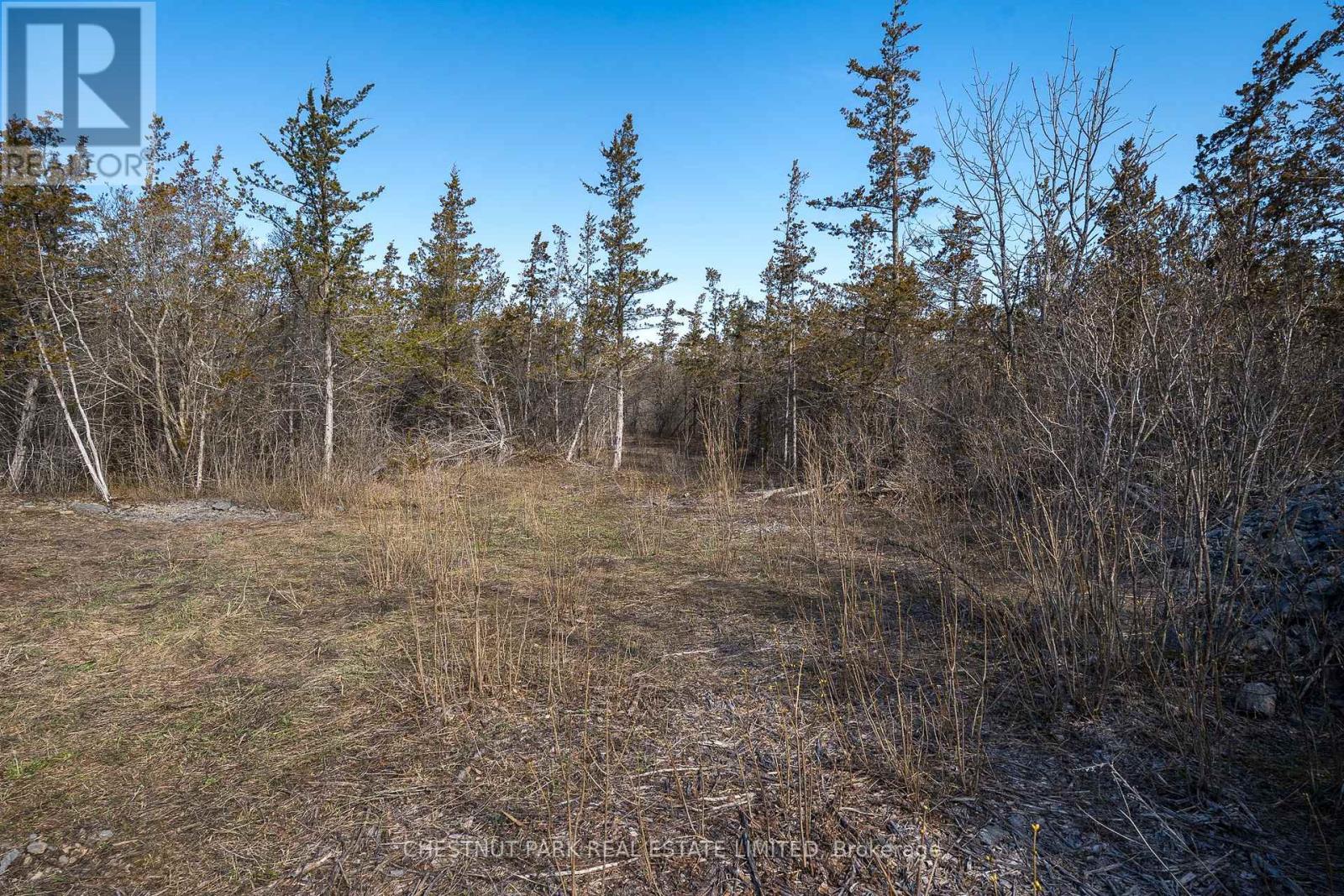 695 County Road 7, Prince Edward County, Ontario  K0K 2T0 - Photo 14 - X12989988