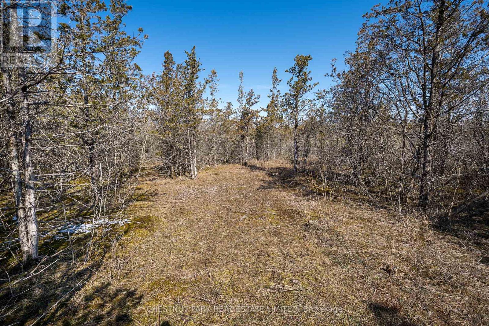 695 County Road 7, Prince Edward County, Ontario  K0K 2T0 - Photo 16 - X12989988