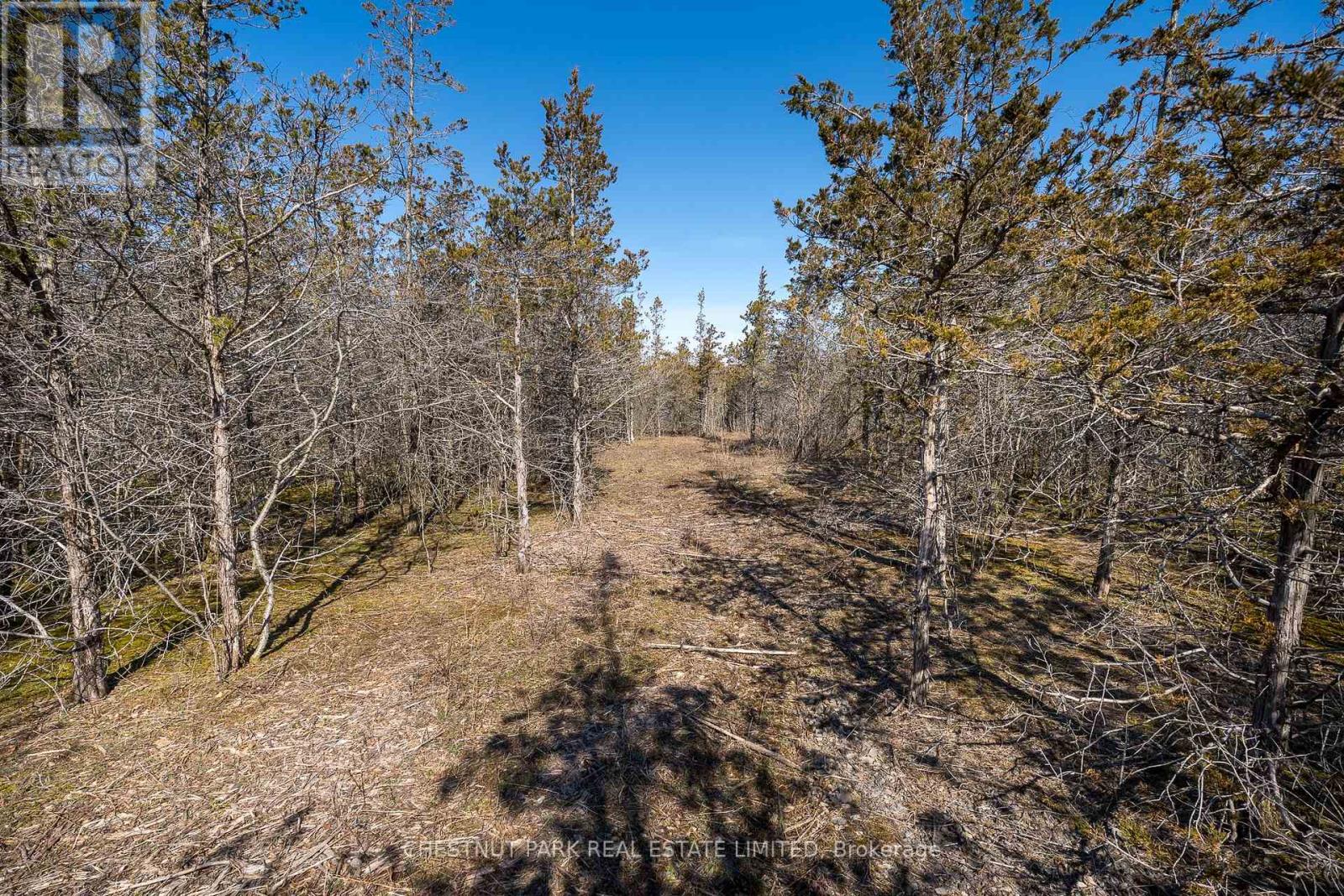 695 County Road 7, Prince Edward County, Ontario  K0K 2T0 - Photo 17 - X12989988