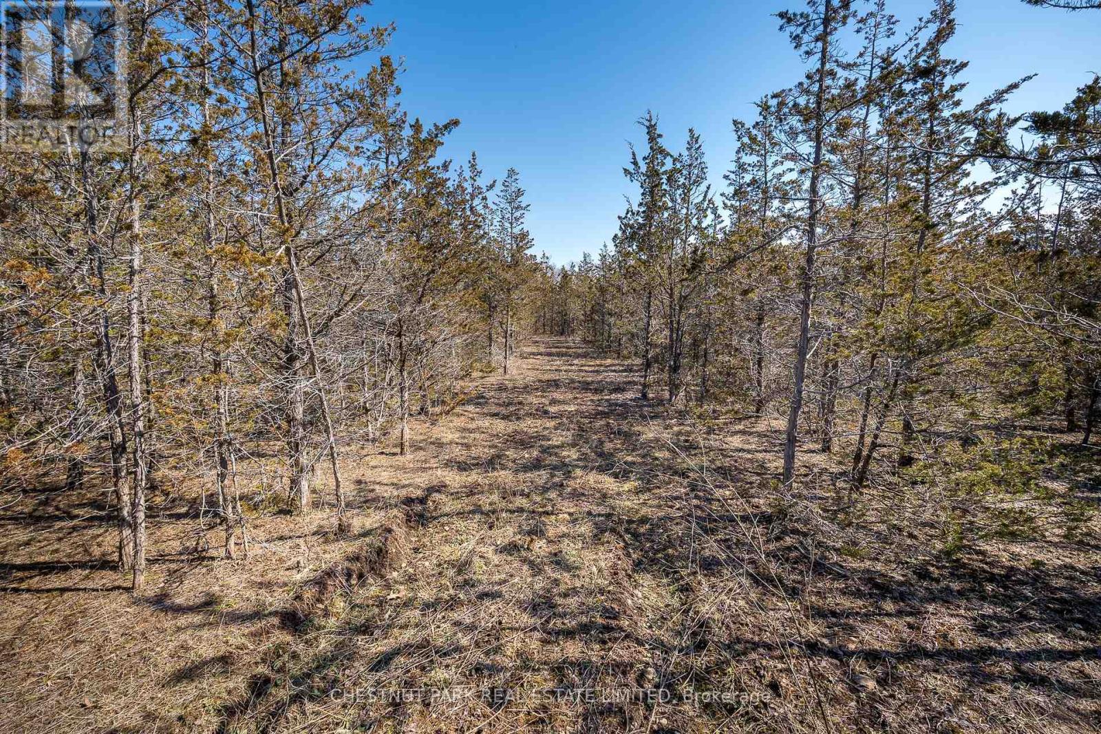 695 County Road 7, Prince Edward County, Ontario  K0K 2T0 - Photo 18 - X12989988