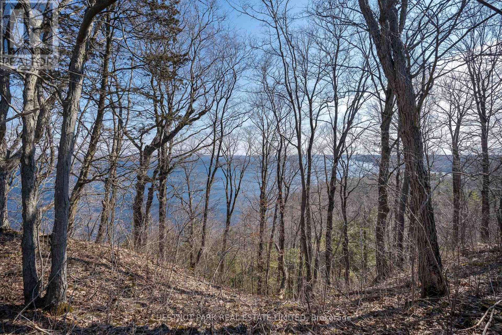 695 County Road 7, Prince Edward County, Ontario  K0K 2T0 - Photo 19 - X12989988