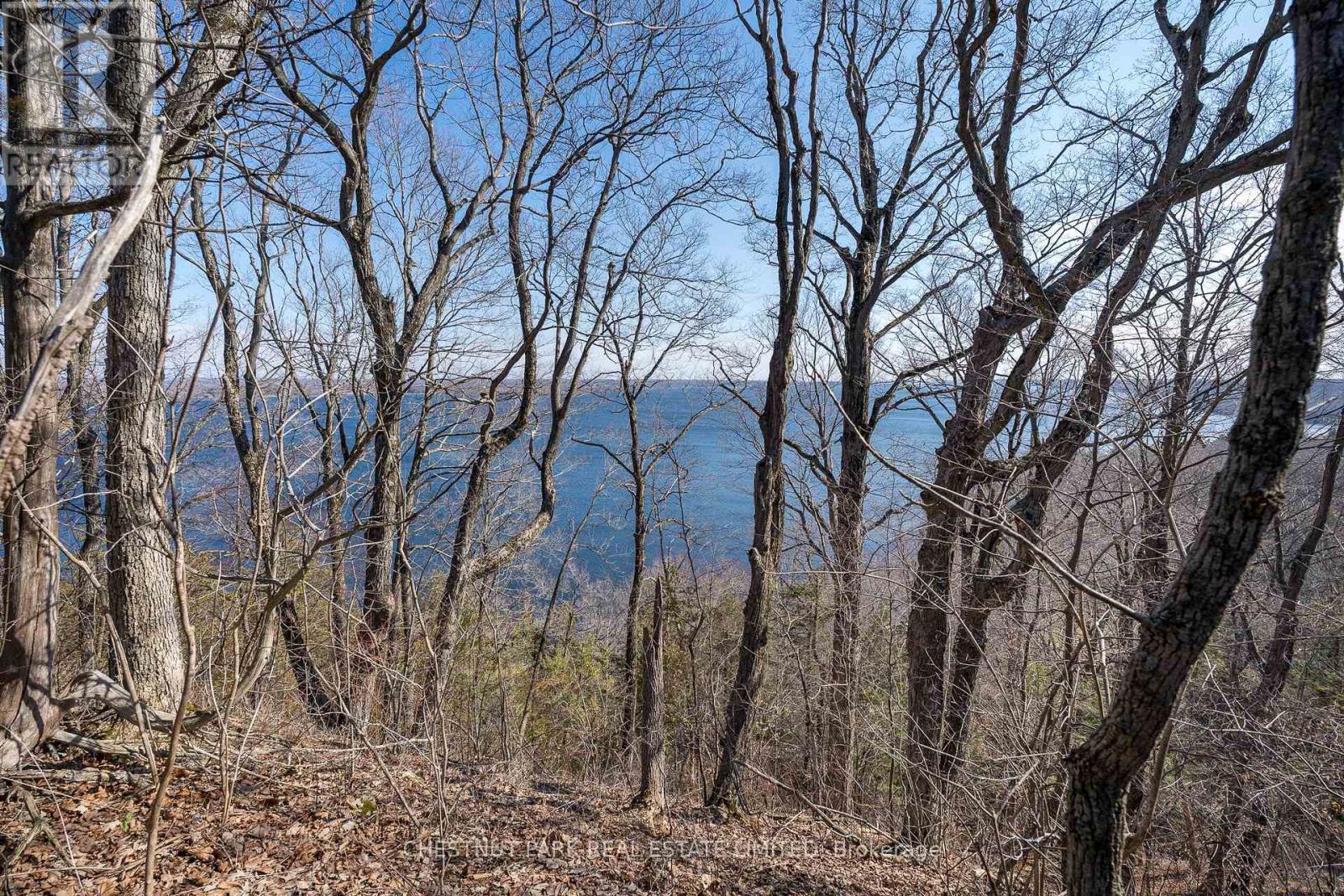 695 County Road 7, Prince Edward County, Ontario  K0K 2T0 - Photo 20 - X12989988