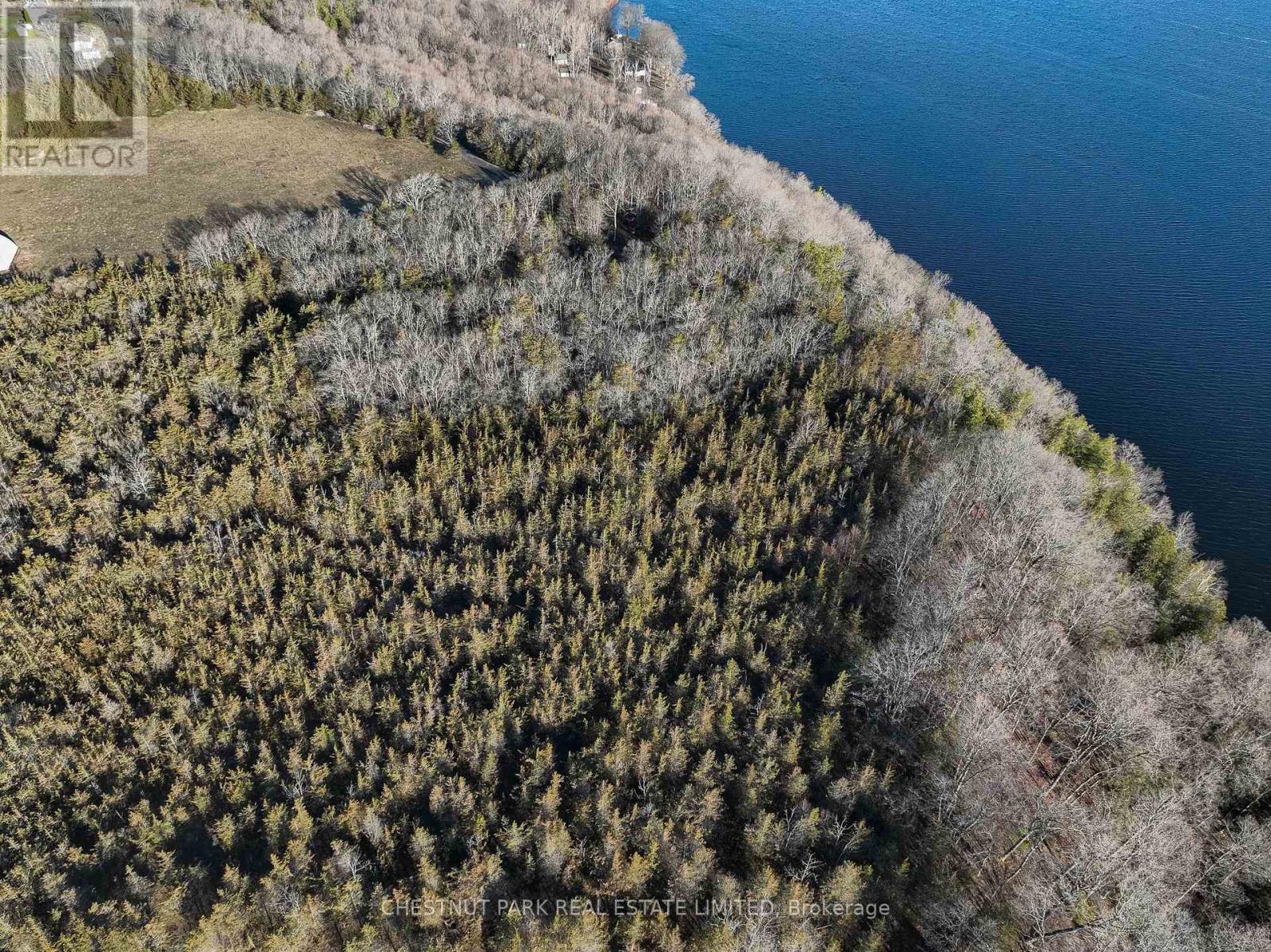 695 County Road 7, Prince Edward County, Ontario  K0K 2T0 - Photo 4 - X12989988