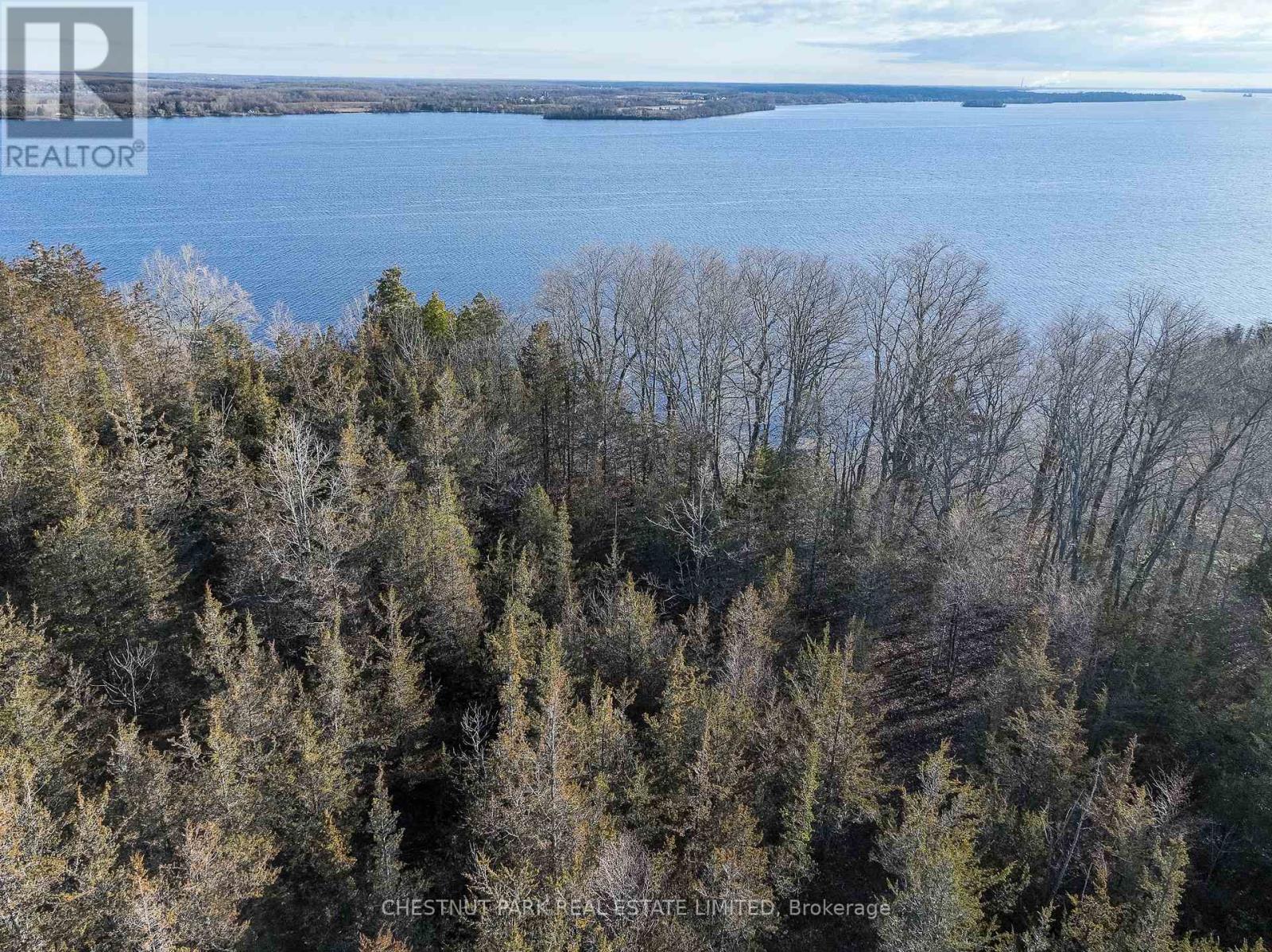 695 County Road 7, Prince Edward County, Ontario  K0K 2T0 - Photo 5 - X12989988