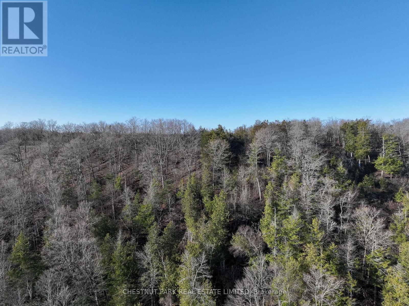 695 County Road 7, Prince Edward County, Ontario  K0K 2T0 - Photo 9 - X12989988