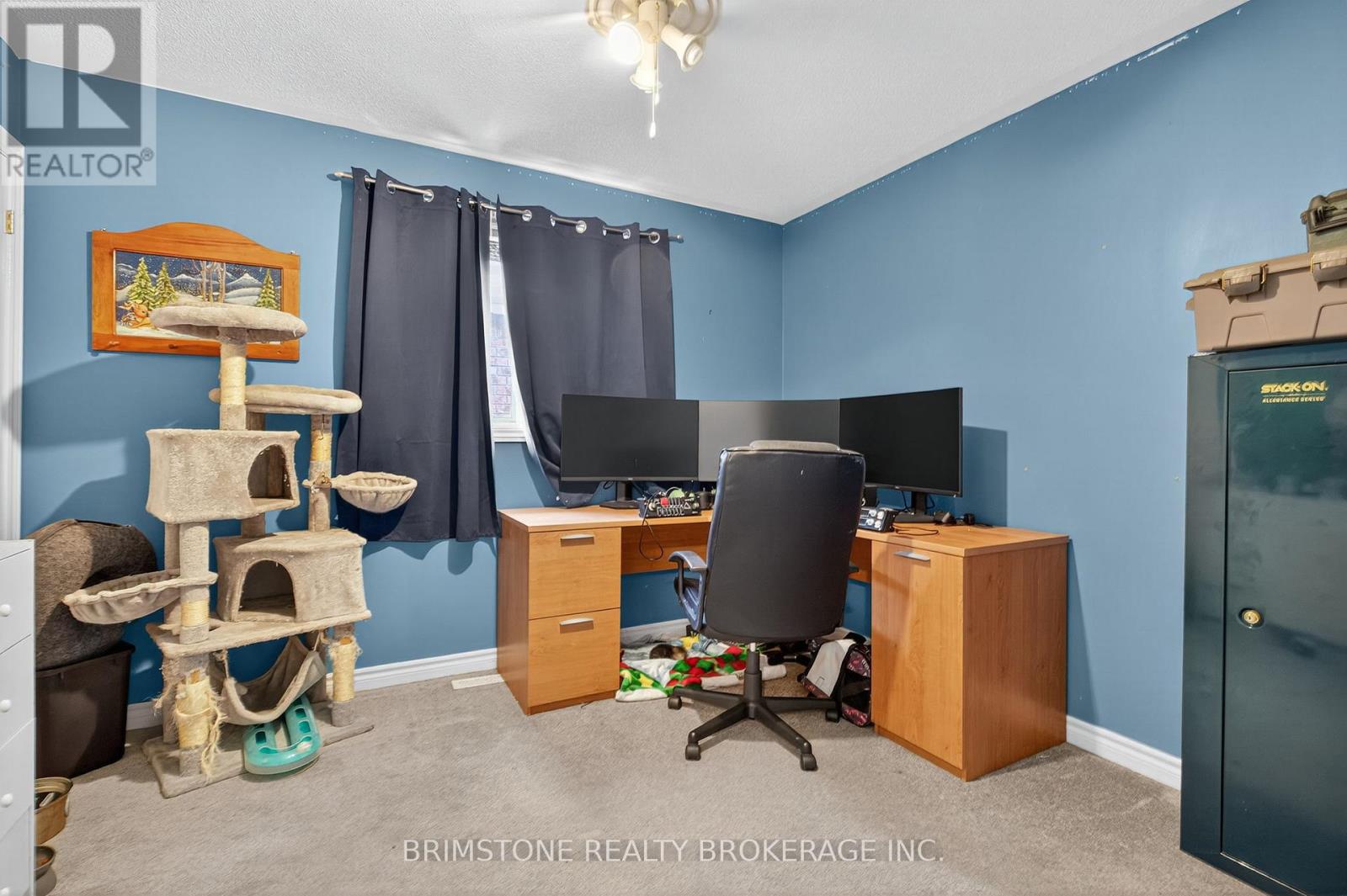 116 Bird Street, Barrie (Edgehill Drive), Ontario  L4N 0W6 - Photo 28 - S12990030