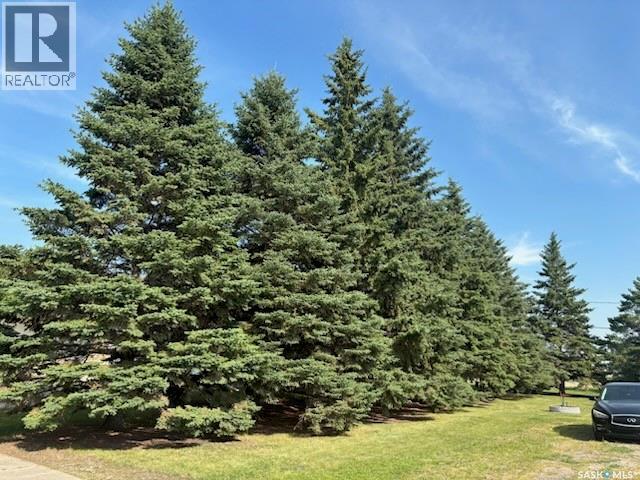 312 2nd Avenue E, Blaine Lake, Saskatchewan  S0J 0J0 - Photo 3 - SK032611