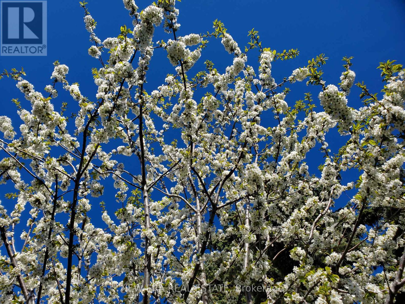 55 - 6540 Falconer Drive, Mississauga, Ontario  L5N 1M1 - Photo 41 - W12990088