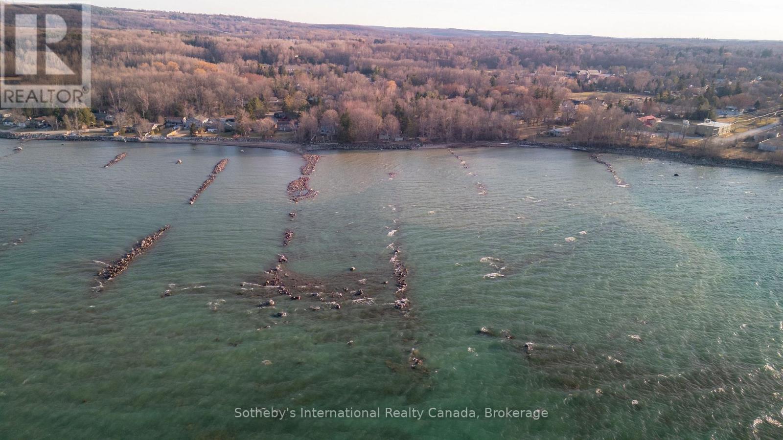 47 Vera Street, Meaford, Ontario  N4L 1B2 - Photo 46 - X12989830