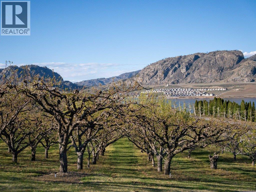 14807 89th Street, Osoyoos, British Columbia  V0H 1V2 - Photo 8 - 10382157