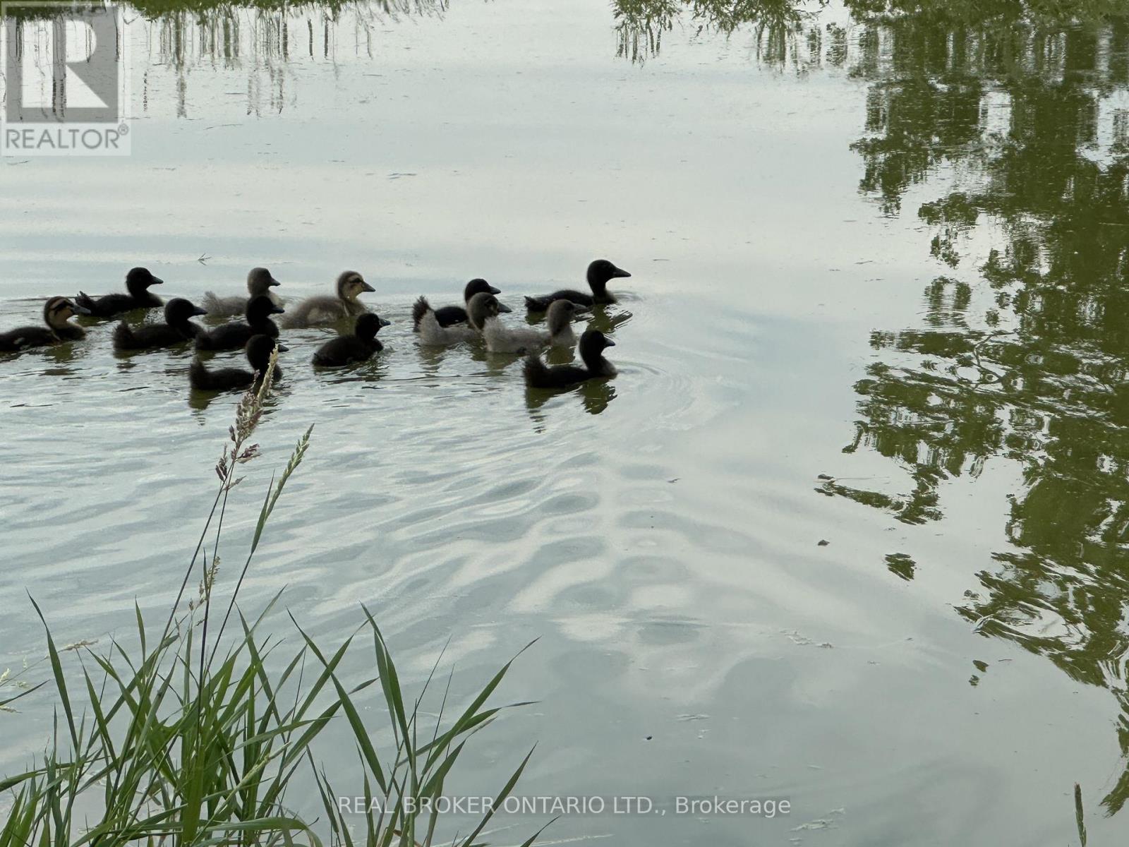 933 Craig Road, North Grenville, Ontario  K0G 1S0 - Photo 50 - X12990432