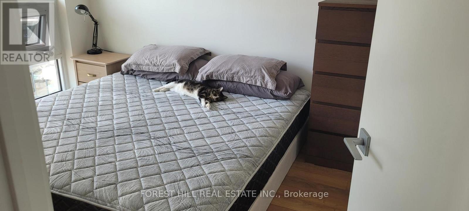 704 - 49 East Liberty Street, Toronto (Niagara), Ontario  M6K 0B2 - Photo 9 - C12990370