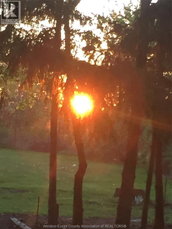 95 Lapointe Street, Lakeshore, Ontario N8M 2X4 - Photo 42 - 26007919