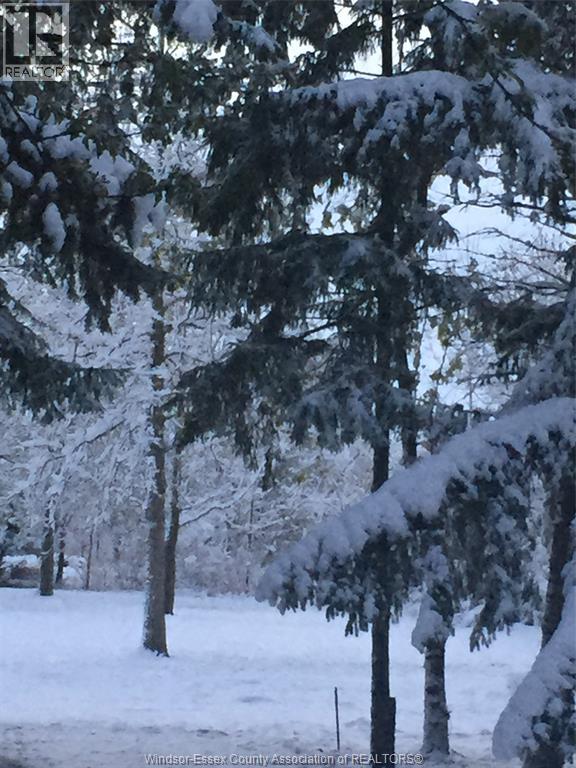 95 Lapointe Street, Lakeshore, Ontario N8M 2X4 - Photo 44 - 26007919