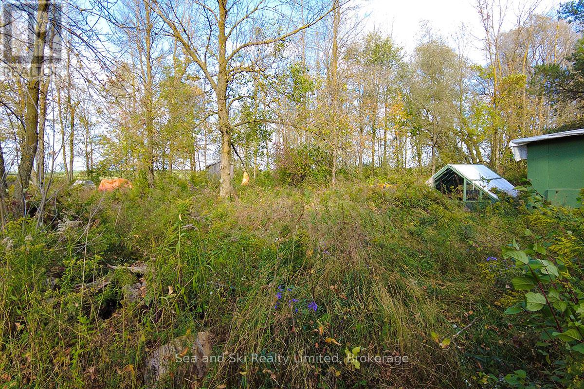 31313 Grey Road 14 Road, Southgate, Ontario  N0G 1N0 - Photo 8 - X12465495