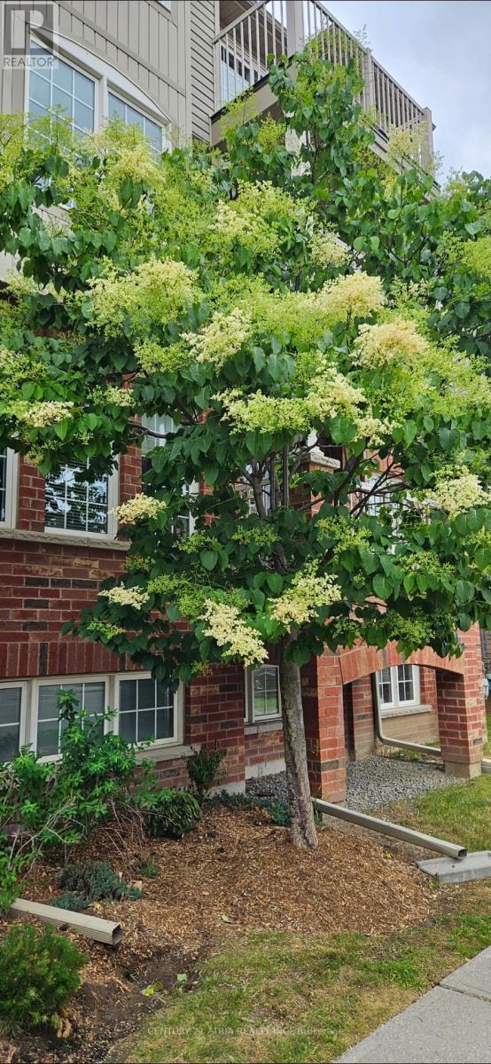 5 - 129 Isaac Devins Boulevard, Toronto, Ontario  M9M 0C4 - Photo 35 - W12990332