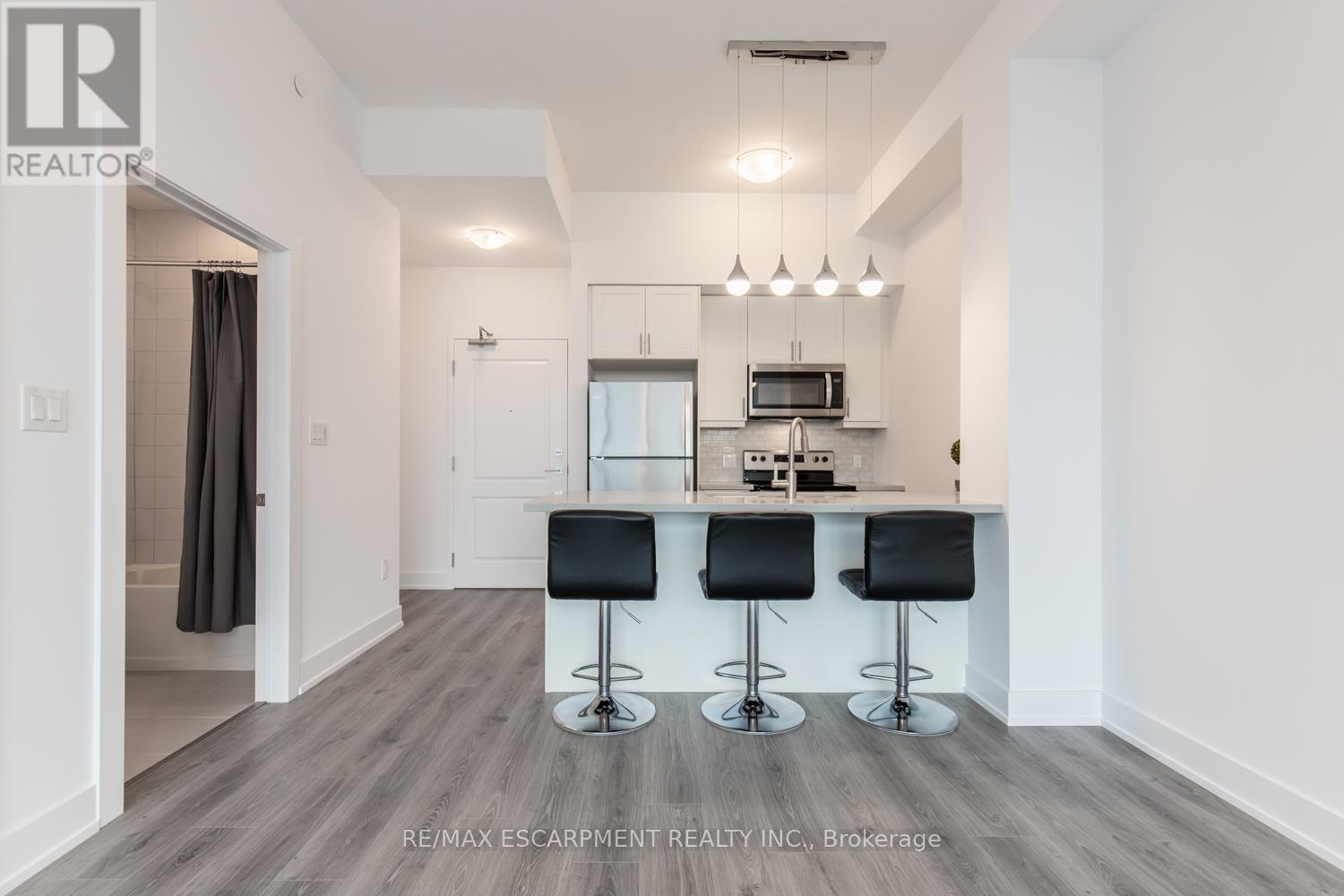 504 - 460 Dundas Street, Hamilton, Ontario  L8B 2A5 - Photo 6 - X12990470