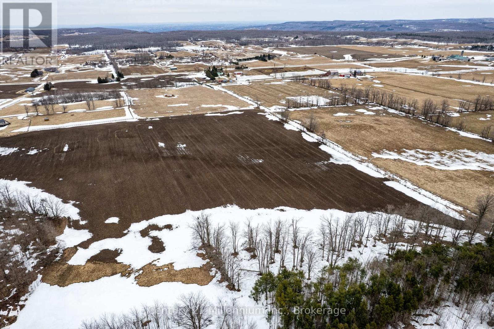 595298 4th Line, Blue Mountains, Ontario N0H 2E0 - Photo 10 - X12990656