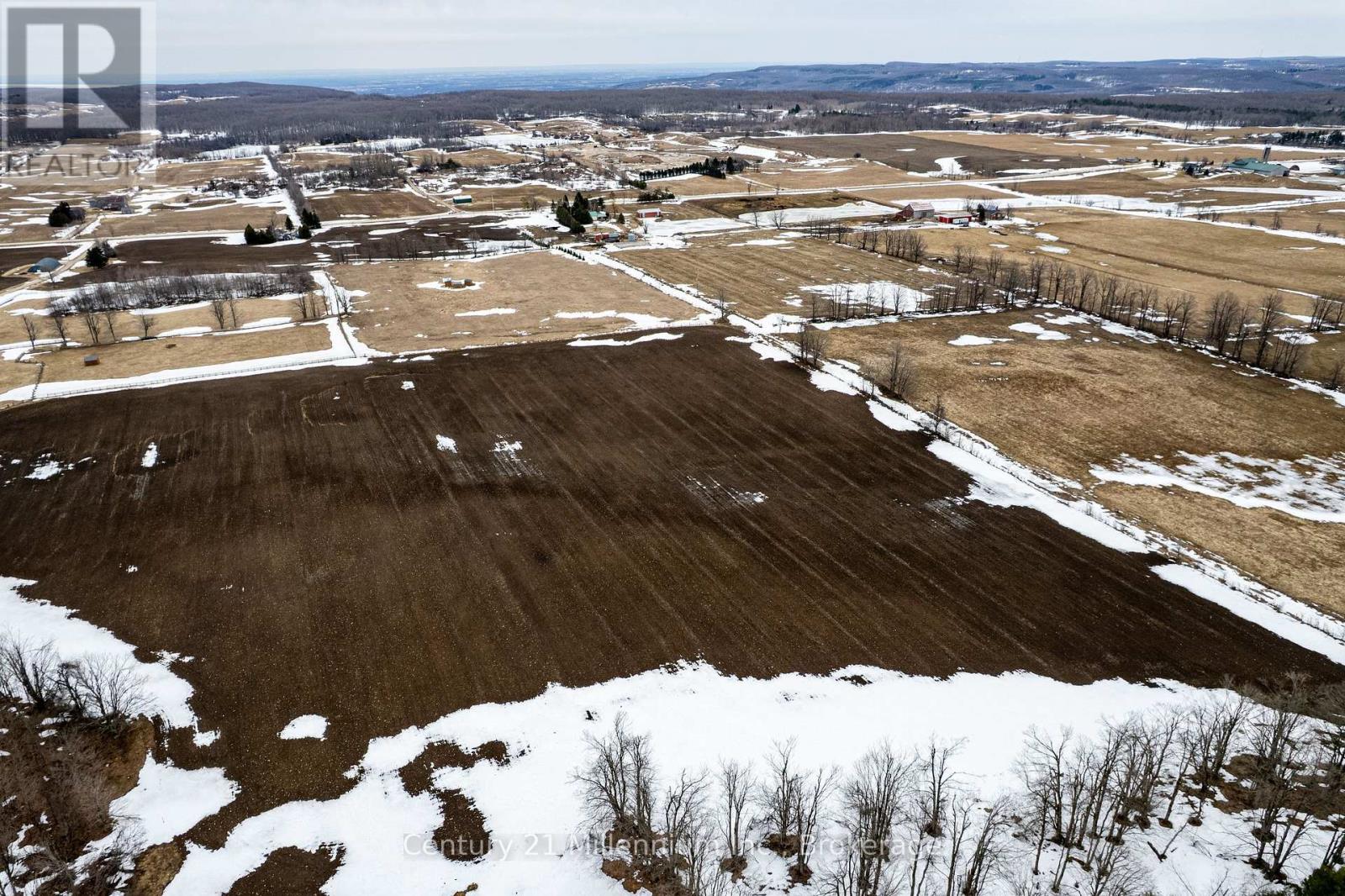 595298 4th Line, Blue Mountains, Ontario N0H 2E0 - Photo 3 - X12990656