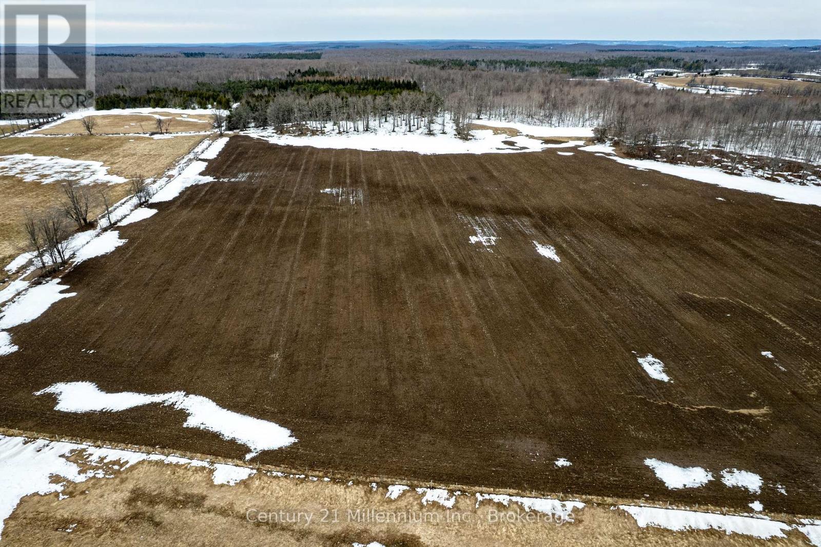 595298 4th Line, Blue Mountains, Ontario N0H 2E0 - Photo 5 - X12990656