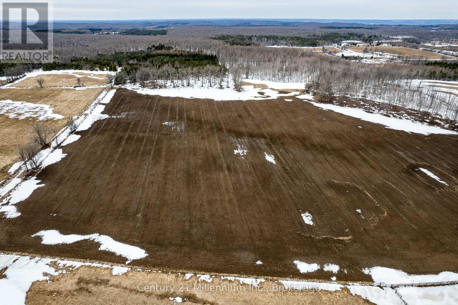 595298 4th Line, Blue Mountains, Ontario N0H 2E0 - Photo 8 - X12990656