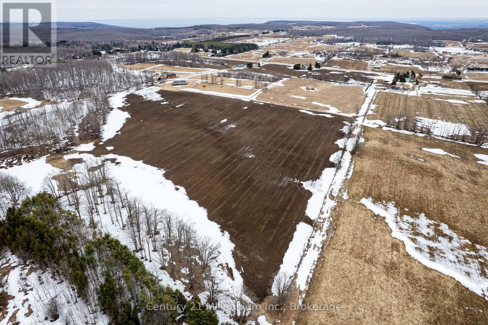 595298 4th Line, Blue Mountains, Ontario N0H 2E0 - Photo 9 - X12990656