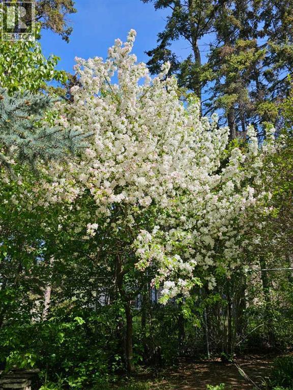 6749 59 Avenue, Red Deer, Alberta  T4P 1B1 - Photo 4 - A2300190