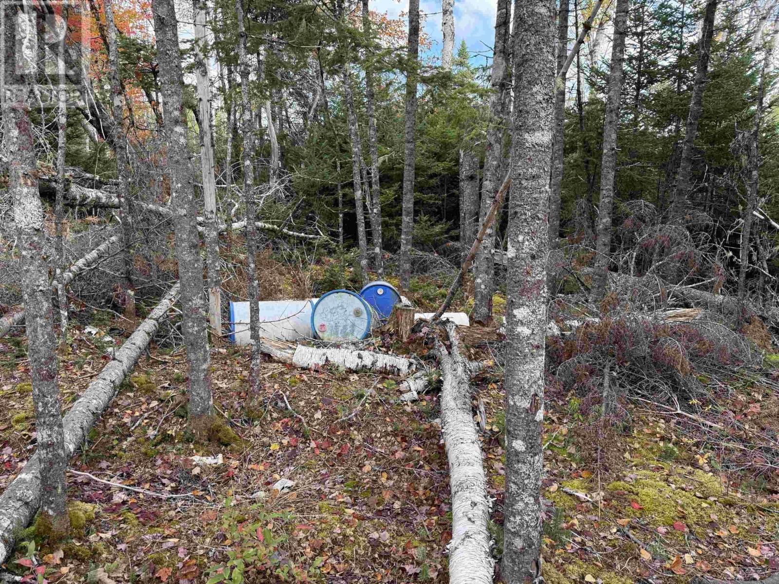 Lot 7 Old Dam Road, Eight Island Lake, Nova Scotia  B1H 1L0 - Photo 16 - 202525762