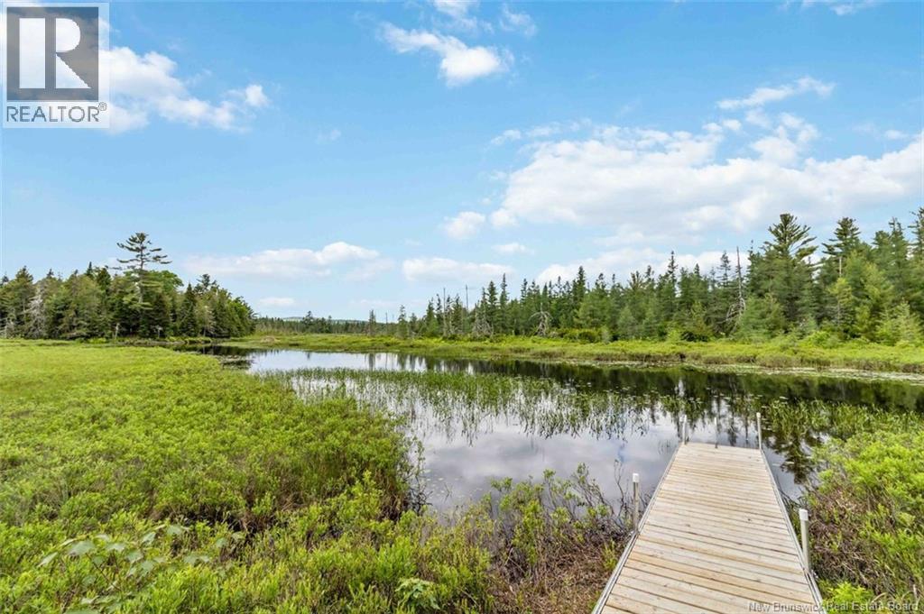 33 Loon Lane, Lake George, New Brunswick  E6K 3J1 - Photo 13 - NB137006