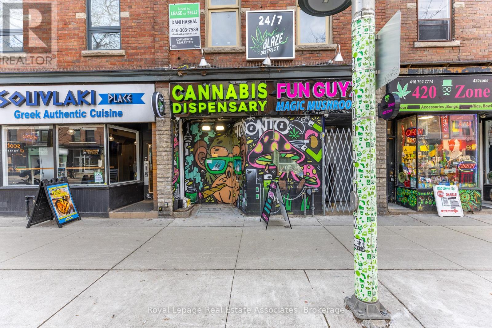 Main - 497 Bloor Street W, Toronto, Ontario  M5S 1Y2 - Photo 19 - C12990642