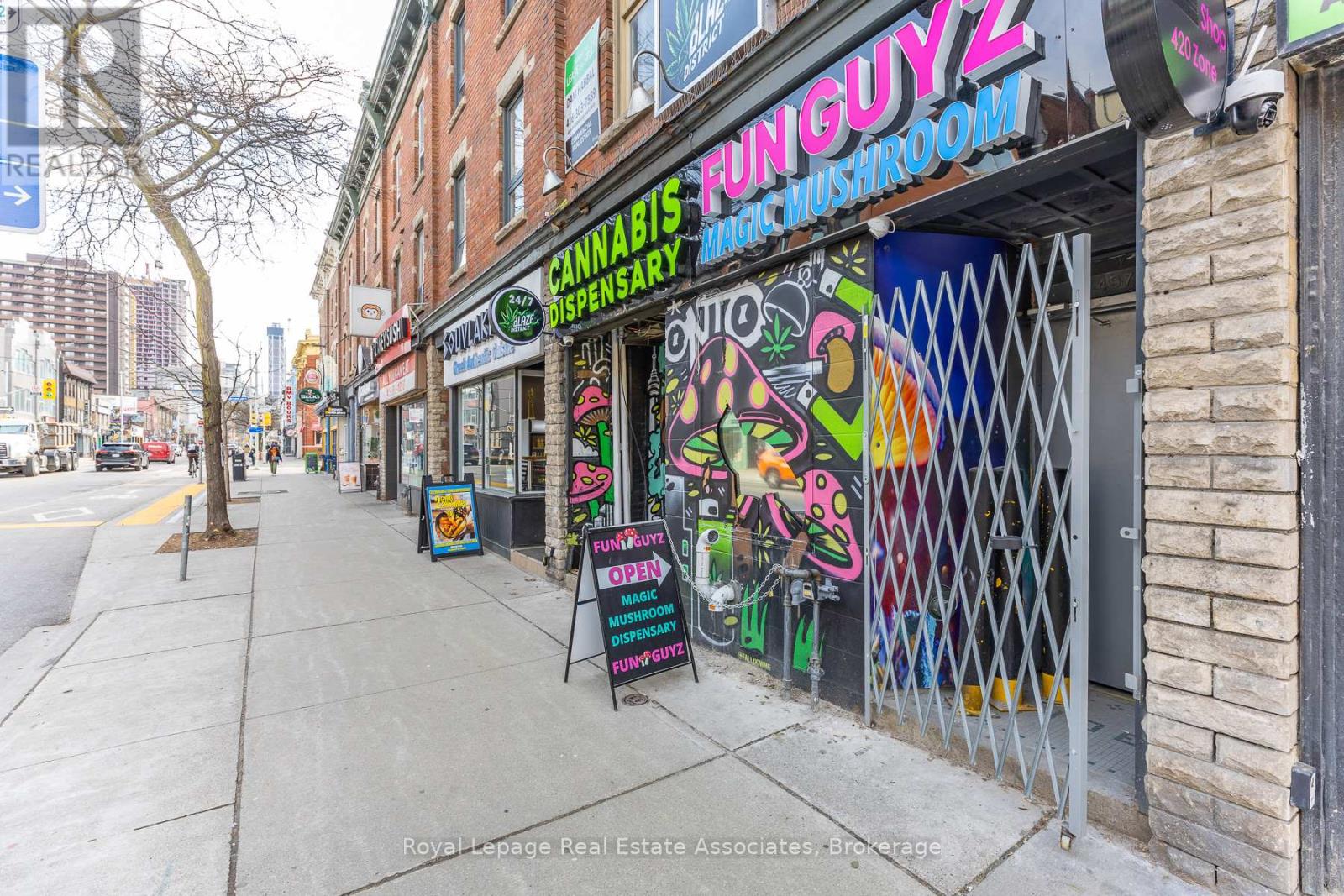 Main - 497 Bloor Street W, Toronto, Ontario  M5S 1Y2 - Photo 20 - C12990642