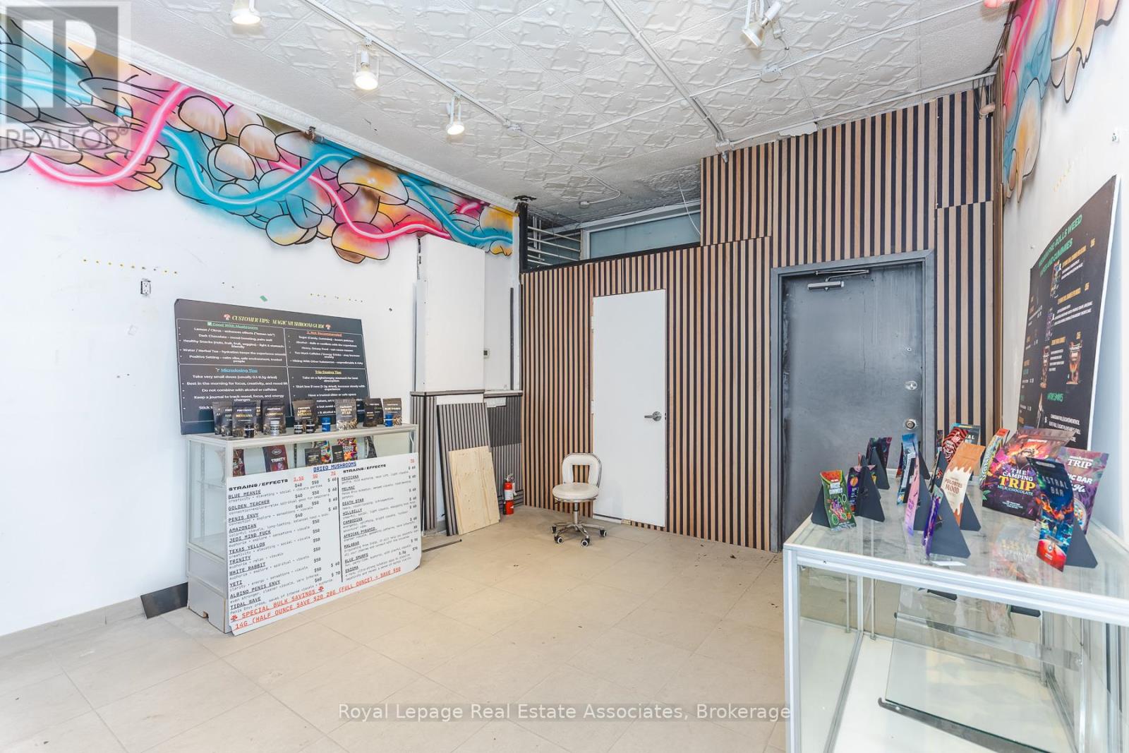 Main - 497 Bloor Street W, Toronto, Ontario  M5S 1Y2 - Photo 5 - C12990642