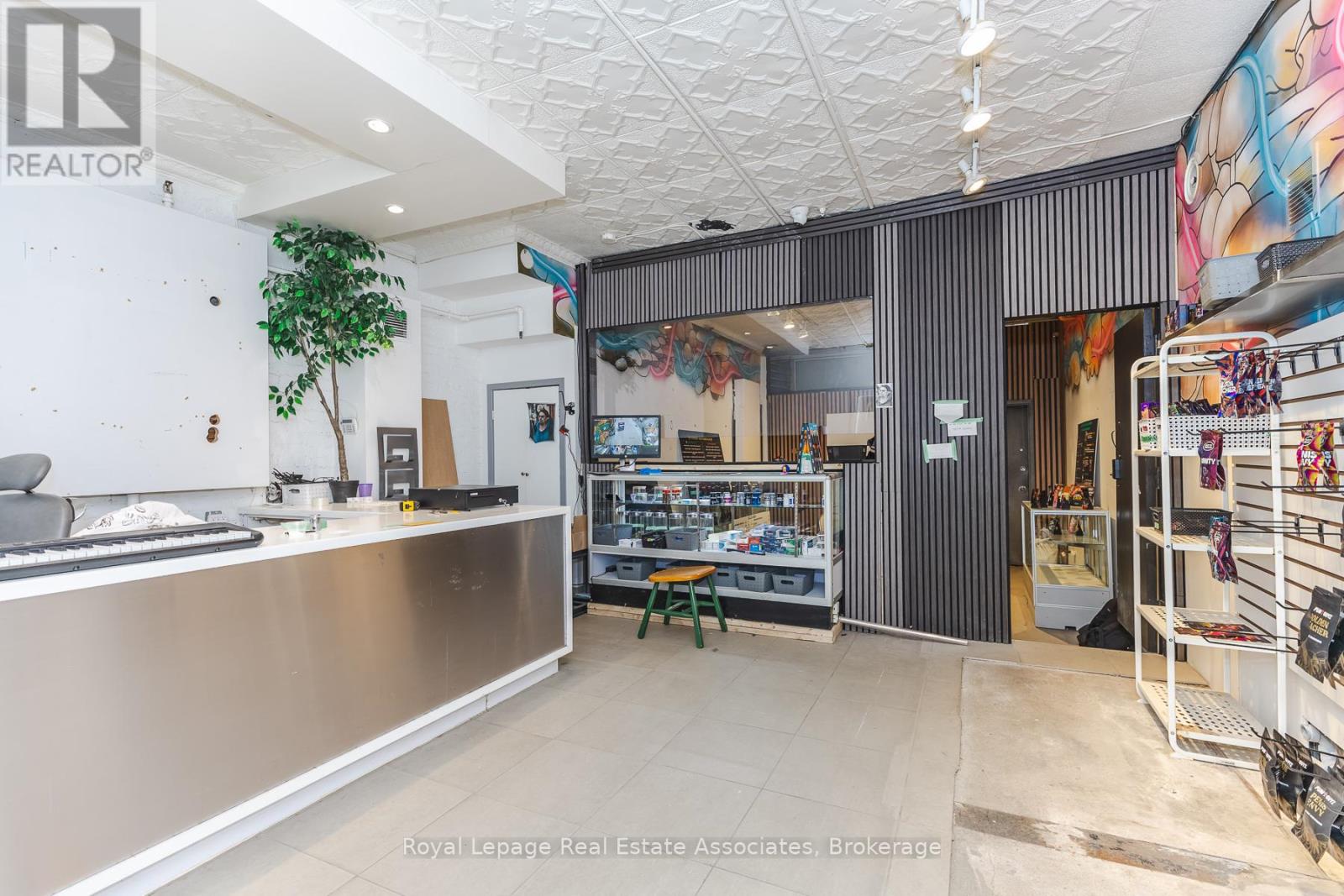 Main - 497 Bloor Street W, Toronto, Ontario  M5S 1Y2 - Photo 7 - C12990642