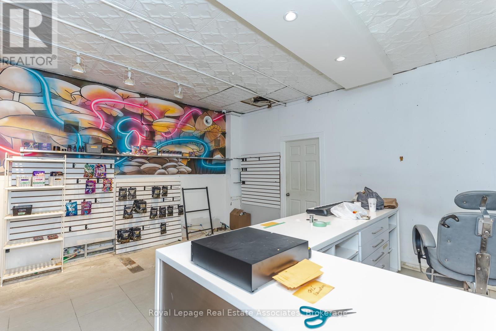 Main - 497 Bloor Street W, Toronto, Ontario  M5S 1Y2 - Photo 8 - C12990642