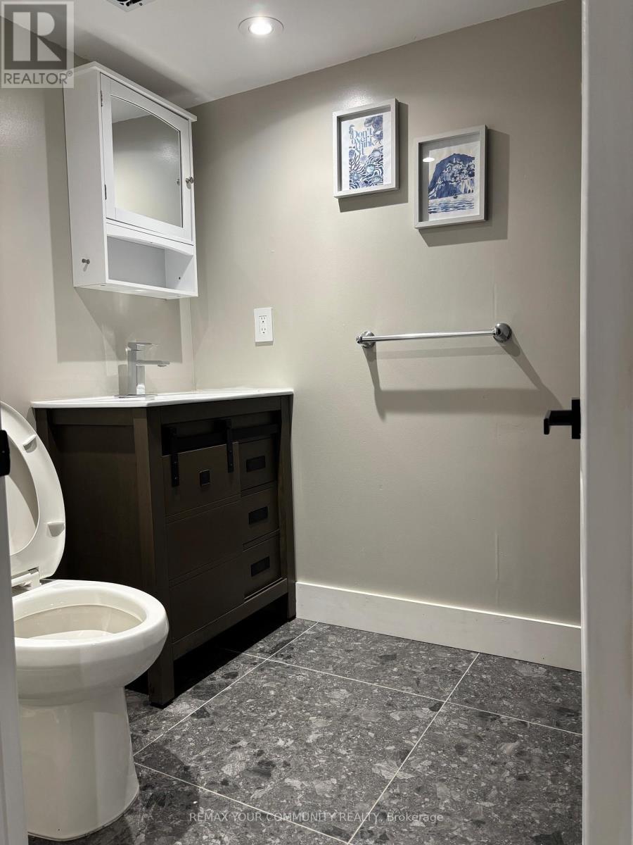 Basement - 60 Wood Rim Drive, Richmond Hill, Ontario  L4E 4S2 - Photo 11 - N12990588