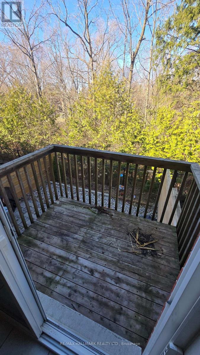 Main - 737 John Cole Court, Newmarket, Ontario  L3Y 5V7 - Photo 22 - N12990594