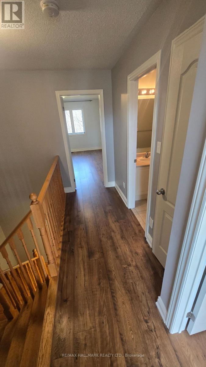 Main - 737 John Cole Court, Newmarket, Ontario  L3Y 5V7 - Photo 25 - N12990594