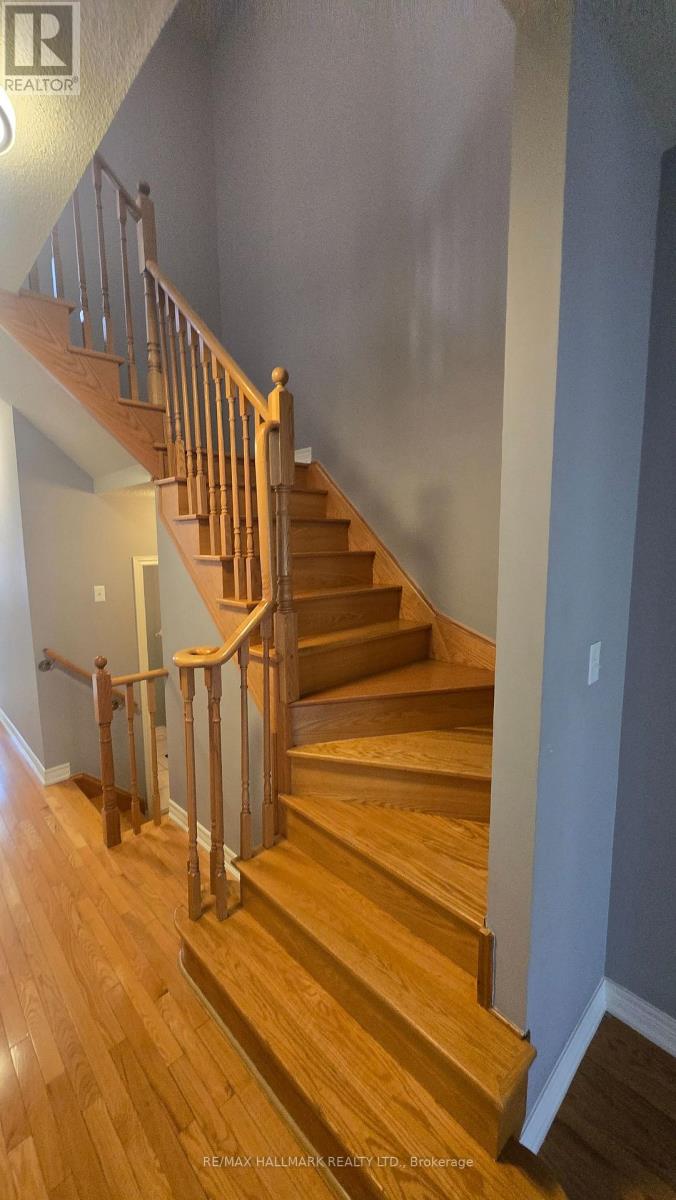 Main - 737 John Cole Court, Newmarket, Ontario  L3Y 5V7 - Photo 23 - N12990594