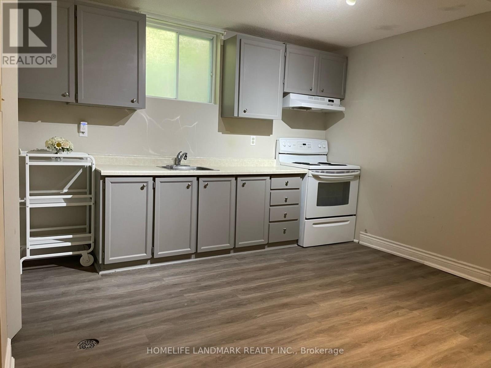 Bsmt - 53 Moray Avenue, Richmond Hill, Ontario  L4E 3C4 - Photo 5 - N12888516